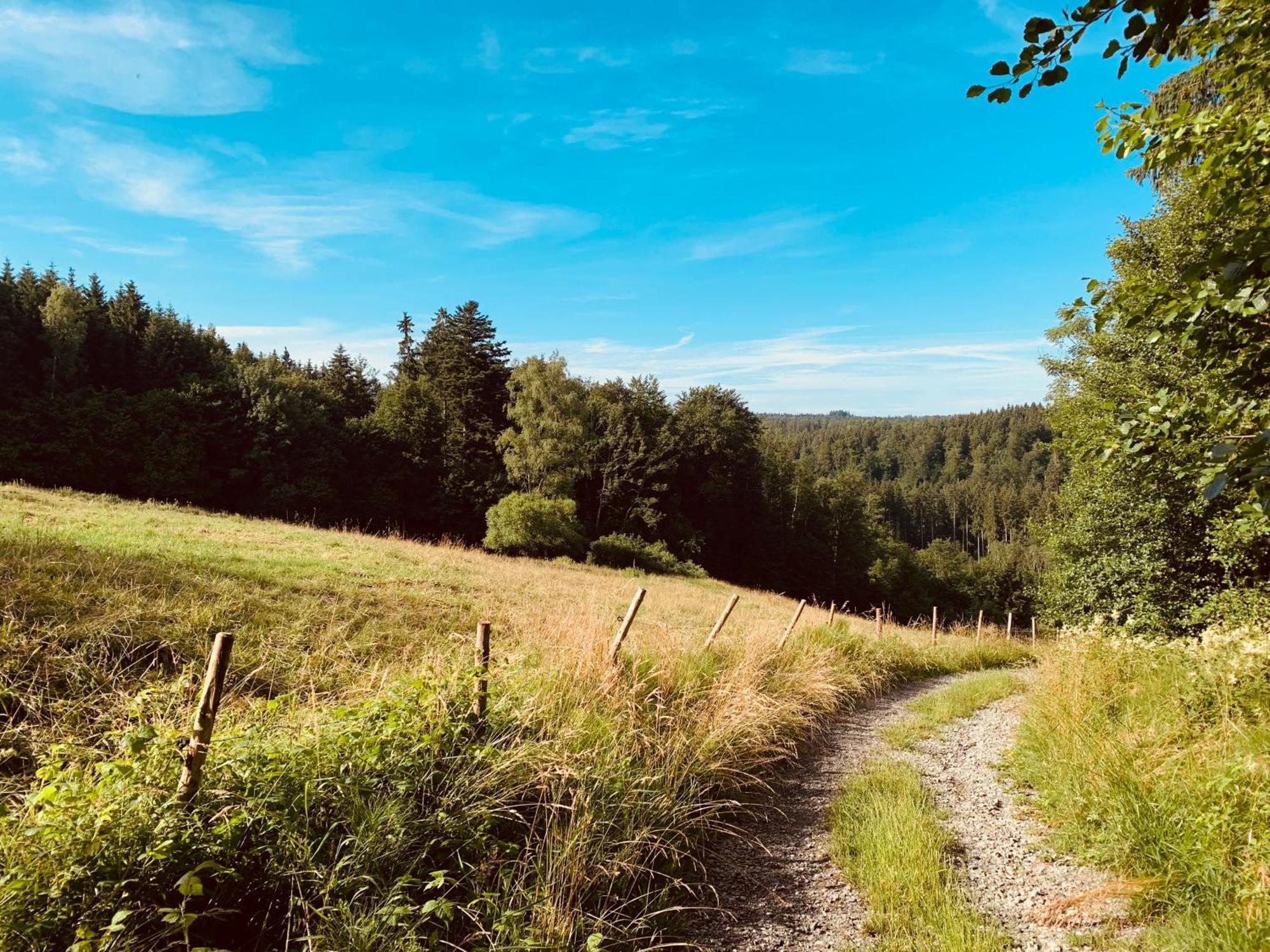 Hjem - Tiny Homes Direkt Am Wald Zwischen Allgaeu & Bodensee Bergatreute Esterno foto